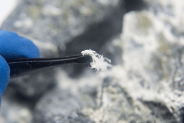 Close-up of asbestos fibres held by tweezers, with a gloved hand in the background. The fibrous material is hazardous when disturbed, releasing airborne particles that pose serious health risks